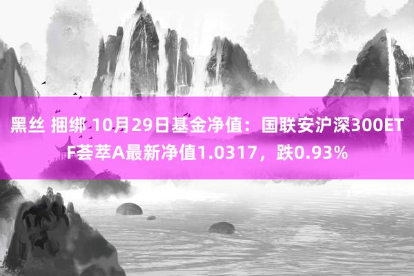 黑丝 捆绑 10月29日基金净值：国联安沪深300ETF荟萃A最新净值1.0317，跌0.93%