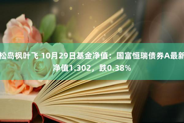 松岛枫叶飞 10月29日基金净值：国富恒瑞债券A最新净值1.302，跌0.38%