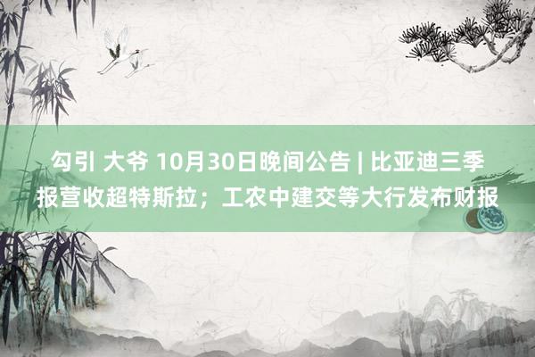 勾引 大爷 10月30日晚间公告 | 比亚迪三季报营收超特斯拉；工农中建交等大行发布财报