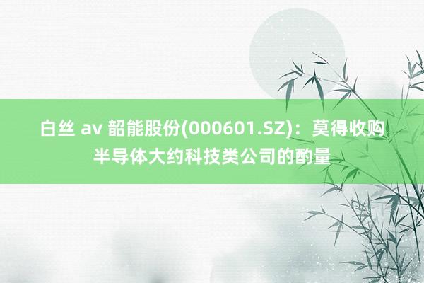 白丝 av 韶能股份(000601.SZ)：莫得收购半导体大约科技类公司的酌量