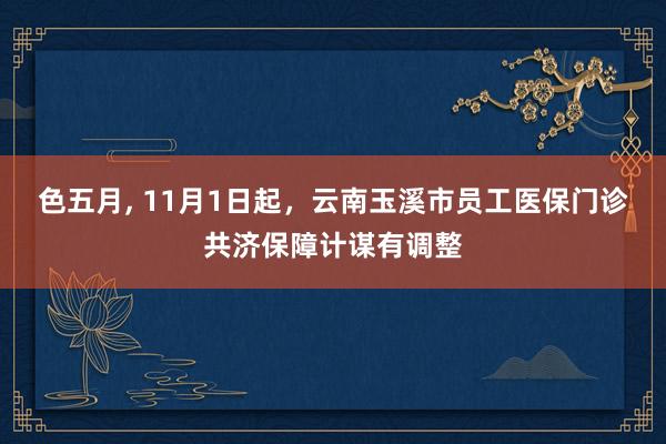 色五月， 11月1日起，云南玉溪市员工医保门诊共济保障计谋有调整