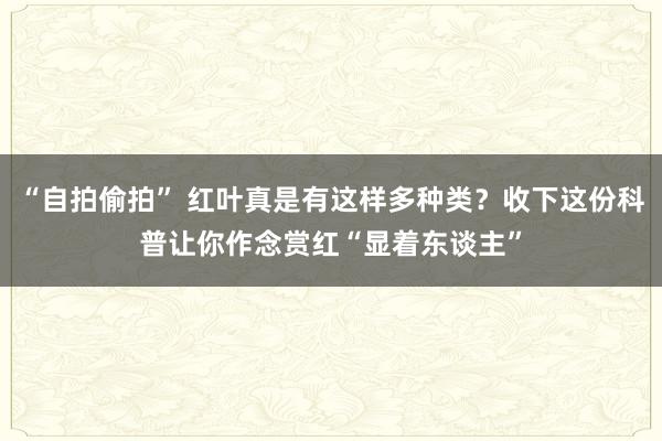 “自拍偷拍” 红叶真是有这样多种类？收下这份科普让你作念赏红“显着东谈主”