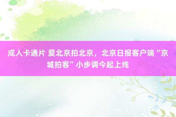 成人卡通片 爱北京拍北京，北京日报客户端“京城拍客”小步调今起上线