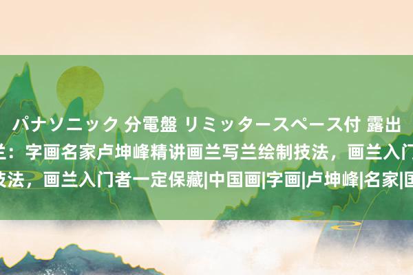 パナソニック 分電盤 リミッタースペース付 露出・半埋込両用形 奈何画兰：字画名家卢坤峰精讲画兰写兰绘制技法，画兰入门者一定保藏|中国画|字画|卢坤峰|名家|国画|花鸟画