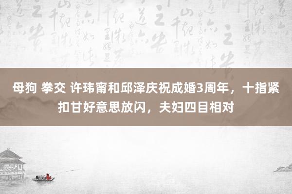 母狗 拳交 许玮甯和邱泽庆祝成婚3周年，十指紧扣甘好意思放闪，夫妇四目相对