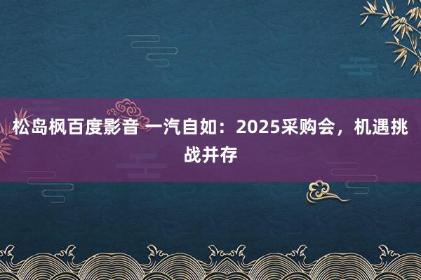 松岛枫百度影音 一汽自如：2025采购会，机遇挑战并存