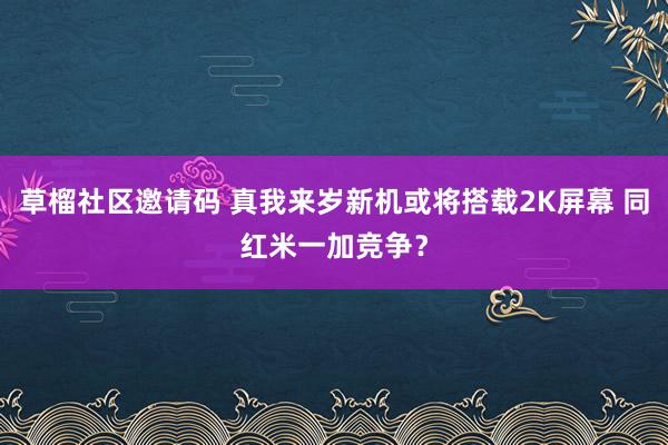 草榴社区邀请码 真我来岁新机或将搭载2K屏幕 同红米一加竞争？