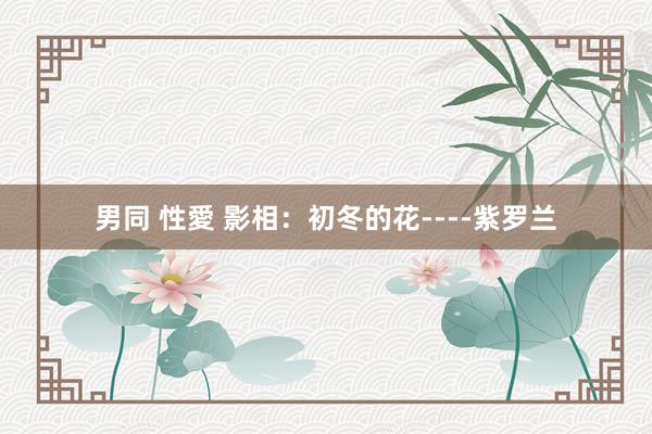 男同 性愛 影相：初冬的花----紫罗兰