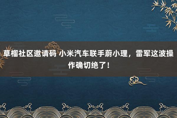 草榴社区邀请码 小米汽车联手蔚小理，雷军这波操作确切绝了！