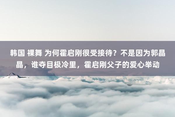 韩国 裸舞 为何霍启刚很受接待？不是因为郭晶晶，谁夺目极冷里，霍启刚父子的爱心举动