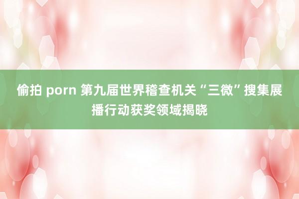 偷拍 porn 第九届世界稽查机关“三微”搜集展播行动获奖领域揭晓