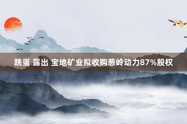 跳蛋 露出 宝地矿业拟收购葱岭动力87%股权