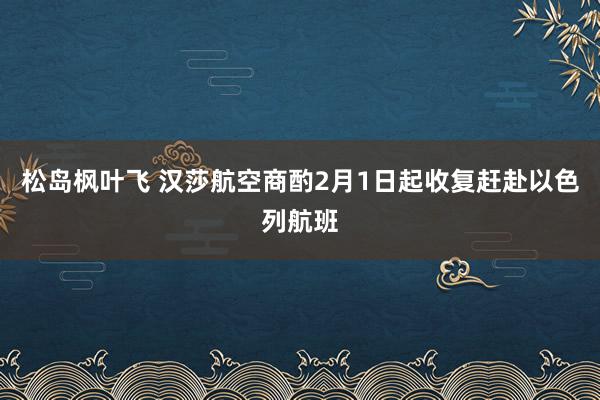 松岛枫叶飞 汉莎航空商酌2月1日起收复赶赴以色列航班