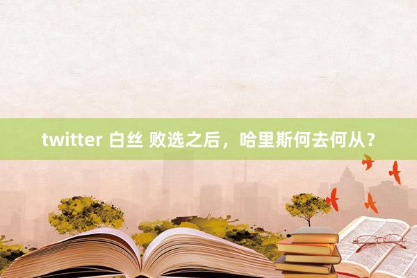 twitter 白丝 败选之后，哈里斯何去何从？