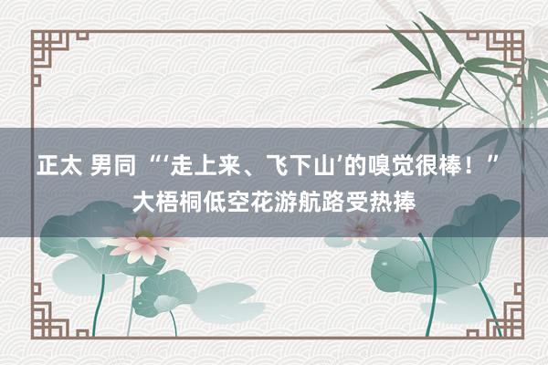 正太 男同 “‘走上来、飞下山’的嗅觉很棒！” 大梧桐低空花游航路受热捧